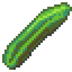 Zucchini