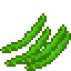 Green Beans