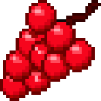 Grapes Red