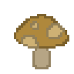 Shiitake Mushroom