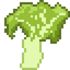 Broccoflower (a hybrid)