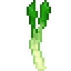 Leek