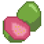 Guava