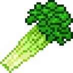 Celery
