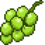 Grapes Green