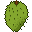 Soursop