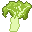 Broccoflower (a hybrid)