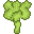 Broccoli (Calabrese)