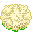 Cauliflower