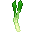 Leek