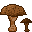 Mushroom Dark