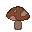 Dark Mushroom